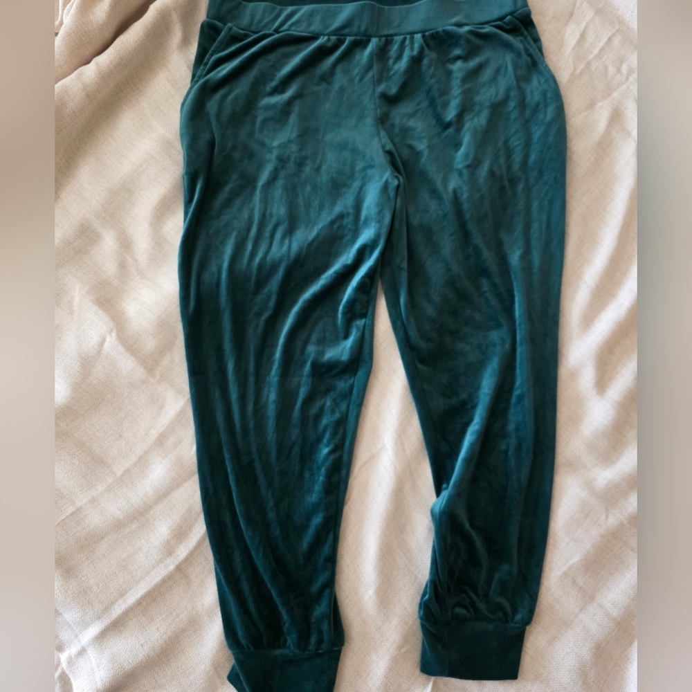 Cable & Gauge Botanical Garden Green Velour Hoodie Jogger Set, Size 2X - Picture 2 of 9